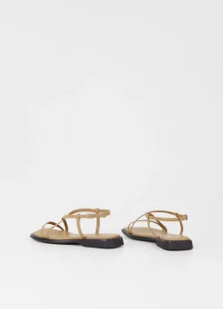 IZZY SANDALER